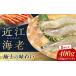 fu.... налог близко . море .400g(S размер )[AQBA008].. близко . море . креветка Shiga префектура Нагахама город 