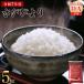 �ӂ邳�Ɣ[�� �s�ŒZ����(3~5�c�Ɠ��ȓ�)�t�ߘa7�N�Y �����т�� ���ꌧ�Y�i���āj5kg�@ ���ꌧ�����