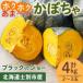 fu.... налог тыква черный. Joe 4kg Hokkaido . другой производство 9 месяц последняя декада после подготовка . по возможности отправка [. person сельское хозяйство .] A7084 Hokkaido . другой город 