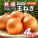 fu.... налог Awaji Island производство .. фрукты шар лук порей 4kg[ размер различный ] / шар лук порей Hyogo префектура 