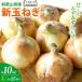 fu.... налог Wakayama префектура производство новый шар лук порей примерно 10kg L размер примерно 25 штук входит предубеждение сельское хозяйство дом тщательно отобранный![ 2027 год 4 конец месяца примерно?2027 год 6 месяц средний ..... последовательный отправка ] популярный.. Wakayama префектура старый сиденье река блок 