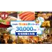 ふるさと納税 旅行 福岡 日本旅行 地域限定 旅行 30,000円分 Eメール発行 福岡県 福岡市 トラベル 電子 旅行券 福岡県福岡市