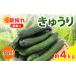fu.... налог [ есть перевод ][2026 год предшествующий предварительный заказ ] прямая поставка от производителя огурец 4kg[shi003] лето овощи местного производства .. перевод есть Chiba префектура asahi город 