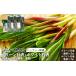 fu.... налог [ трава как оптимальный ] line человек чеснок 3 пакет ( лист часть * стебель часть ) зеленый line человек ×2 пакет белый line человек ×1 пакет [20019] Hokkaido средний . Цу блок 