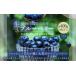 fu.... налог сырой голубика итого примерно 400g( примерно 100g×4 упаковка )[2026 год 4 месяц последняя декада -6 месяц сверху . отправка предположительно ]l голубика фрукты фрукты Shizuoka префектура . река город Shizuoka префектура . река город 