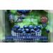 fu.... налог сырой голубика итого примерно 900g( примерно 100g×9 упаковка )[2026 год 4 месяц последняя декада -6 месяц сверху . отправка предположительно ] l голубика фрукты фрукты Shizuoka префектура . река город Shizuoka префектура . река город 