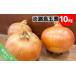fu.... налог Awaji Island лук 10kg * рассылка 5 месяц средний .~ следующий год 2 конец месяца примерно Hyogo префектура юг ... город 