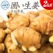 fu.... налог . сырой .2kg 2 kilo имбирь имбирь свежий овощи овощи ваш заказ прекрасный тест .. кулинария сырой . жарение приправа приправа свежий местного производства Япония производство Gin ja-.. Kochi префектура земля . город 