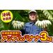 fu.... налог [ Okinawa главный остров производство ] золотой замок . весна сельское хозяйство .. [ Apple banana ] 3kg Okinawa префектура юг способ . блок 