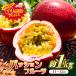 fu.... налог [TV. ознакомление!] маракуйя 1kg(11~12 шт ) mi0116-0003 Chiba префектура юг . общий город 