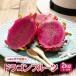 fu.... налог . flat магазин производство. питахайя 2kg[1497066] Okinawa префектура . flat магазин .