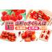 դ뤵Ǽ 3ۻΤ ƣӡȽ 360g3[567] 8ǯͽFS25-007 