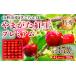 fu.... налог Yamagata город производство вишня [...... premium ] примерно 350g Special превосходящий товар 4L 30 шарик [. мир 8 год производство предшествующий предварительный заказ ]FS25-037 Yamagata префектура Yamagata город 