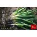 fu.... налог утро . город Special производство скала Цу лук порей 1kg ( толщина в зависимости 7~1 2 шт ) ML размер ..AS51AB57-1 Hyogo префектура утро . город 