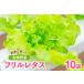 fu.... налог оборка lettuce 10 пакет комплект [bai Tec bejitabru Factory Ishikawa префектура средний талант . блок 27ap0001] Ishikawa префектура средний талант . блок 