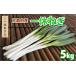 fu.... налог Kyoto (столичный округ) производство один . лук порей 5kg белый лук-батун . Kyoto (столичный округ) . рука блок 