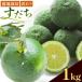 fu.... налог есть перевод ...1kg... Tokushima префектура .. Kawauchi .