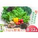 fu.... налог ... . овощи комплект (.. случайный набор 8~12 товар ) Miyagi префектура каштан . город 