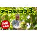fu.... налог [ Okinawa главный остров производство ]. ферма. [ Apple banana ] 3kg Okinawa префектура юг способ . блок 