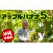 fu.... налог [ Okinawa главный остров производство ]. ферма. [ Apple banana ] 5kg Okinawa префектура юг способ . блок 