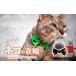 �դ뤵��Ǽ�� ǭ�μ��� necono -mannine Ribbon cat face- �ڥ֥�å��ۥͥ�������ѥͥå��쥹 |��ǭ �ڥå� ǭ�μ���  �ڥåȥ��å� ��̸�������