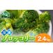 fu.... налог небольшое количество . разрезанный . брокколи рефрижератор 2.4kg Hokkaido лес блок производство овощи гарнир .. данный удобный небольшое количество . разрезанный . брокколи рефрижератор mr1-1004 Hokkaido лес блок 