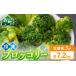 fu.... налог [3 месяцев установленный срок рейс ] небольшое количество . разрезанный . брокколи рефрижератор 2.4kg×3 раз Hokkaido лес блок производство овощи гарнир .. данный удобный небольшое количество . разрезанный .b.. Hokkaido лес блок 
