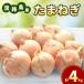 fu.... налог шар лук порей Awaji Island производство 4kg остров. ... шар лук порей Hyogo префектура .книга@ город 