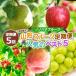 �ӂ邳�Ɣ[�� �y�����5��z�Y�n���� �R�`�t���[�c����� �l�C�̃x�X�g5 FY25-331 �R�`���R�`�s