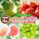 �ӂ邳�Ɣ[�� �y�����4��z�Y�n������ �R�`�l�C�̃t���[�c�x�X�g4 FY25-332 �R�`���R�`�s