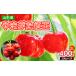 դ뤵Ǽ ޤ Ȳ 2L 400g(200g2ѥå)8ǯͽFS25-064 