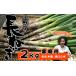 fu.... налог Iwate префектура производство высшее приятный . земля имеется длина лук порей 2kg стандарт количество примерно 20шт.@ для бытового использования [ высота . сельское хозяйство .]| длина лук-батун длина . лук порей лук-батун . белый лук порей белый лук-батун белый . свежий.. Iwate префектура . камень блок 