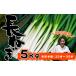 fu.... налог Iwate префектура производство высшее приятный . длина лук порей 5kg стандарт количество 25шт.@~ 35шт.@[ высота . сельское хозяйство .]| длина лук-батун длина . лук порей лук-батун . белый лук порей белый лук-батун белый . свежий овощи .... Iwate префектура . камень блок 