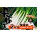 fu.... налог Iwate префектура производство высшее приятный . длина лук порей 2kg стандарт количество примерно 20шт.@ для бытового использования [ высота . сельское хозяйство .]| длина лук-батун длина . лук порей лук-батун . белый лук порей белый лук-батун белый . свежий овощи ... Iwate префектура . камень блок 