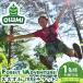 fu.... налог [ Canopy course ] forest приключения *.. древесный уголь body . билет (1 название минут )[ forest приключения *.. древесный уголь ] A963 Кагосима префектура .. город 