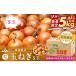 fu.... налог [ есть перевод ] шар лук порей S шар 5kg |.. есть маленький .. лук репчатый tama лук-батун лук oni on большая вместимость .. местного производства прямая поставка от производителя салат предназначенный potofsi.. Hokkaido Цу другой блок 