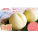 fu.... налог персик 2026 год предшествующий предварительный заказ белый персик белый красота примерно 750g 3 шар .. Okayama префектура Akaiwa город производство фрукты фрукты .... Farmer z сад фрукты вид Okayama префектура Akaiwa город 