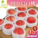 �ӂ邳�Ɣ[�� �� �쒆�� ���� �� 4kg �t���[�c  �R�`���V���s