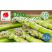 fu.... налог [2026 год 4 месяц ~ отправка ]. хорошо . производство .. длина прямая поставка! зеленый aspala[.] M~2L размер смешивание [ примерно 1kg] ( Shimizu farm)aspalaaspa.. Hokkaido . хорошо . город 