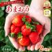 fu.... налог клубника Fukuoka префектура производство специальный культивирование .... размер различный MIX примерно 570g( примерно 285g×2 упаковка )[4 месяц отправка ] Fukuoka префектура . каштан блок 