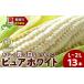 fu.... tax 2024 year summer shipping white corn pure white L~2L 13ps.@ Hokkaido Chitose city 