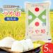 �ӂ邳�Ɣ[�� �y�ߘa8�N�Y �V�āz ���ʍ͔|�� ��P ������ 5kg (5kg�~1��) �R�`���߉��Y�@�߉������t�@�[�� �R�`���߉��s