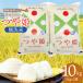 �ӂ邳�Ɣ[�� �y�ߘa8�N�Y �V�āz ���ʍ͔|�� ��P ������ 10kg (5kg�~2��) �R�`���߉��Y�@�߉������t�@�[�� �R�`���߉��s