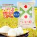 �ӂ邳�Ɣ[�� �y�ߘa8�N�Y �V�āz ���ʍ͔|�� ��P ������ 5kg (5kg�~1��)�~6�����y����ցz�@�߉������t�@�[��  �R�`���߉��s