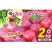 fu.... налог [ предшествующий прием :2026 год отправка ] Shinshu производство товар вид случайный .. нектарин примерно 2kg(10 шт ~16 шт ) Nagano префектура Matsumoto город 