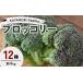 fu.... налог KAYAMORI FARM. брокколи 12 АО ( примерно 4kg) F6U-376 Fukushima префектура стрела дуть блок 