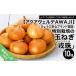 fu.... налог .... безопасность бренд засвидетельствование специальный культивирование. шар лук порей [..(... Tama )]10kg Hyogo префектура юг ... город 