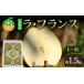 fu.... налог {2026 год отправка предшествующий предварительный заказ } Yamagata префектура производство la* Франция примерно 1.5kg L~4L..... фрукты .. было использовано фрукты Yamagata префектура производство F4A-1005 Yamagata префектура Nakayama блок 