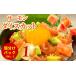 fu.... налог 015B617 salmon кости cut всего 1kg [ небольшое количество .500g×2P морепродукты фарфоровая пиала популярный рекомендация небольшое количество . рефрижератор простой кулинария один человек жизнь Восток холодный.. Osaka (столичный округ) Izumi .. город 
