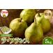 fu.... налог [2026 год производство предшествующий прием ] восток корень город производство la* Франция примерно 5kg( шар число случайный ) Special превосходящий товар beji полный .... Yamagata префектура восток корень город hi104-015( запад груша груша обыкновенная.. Yamagata префектура восток корень город 